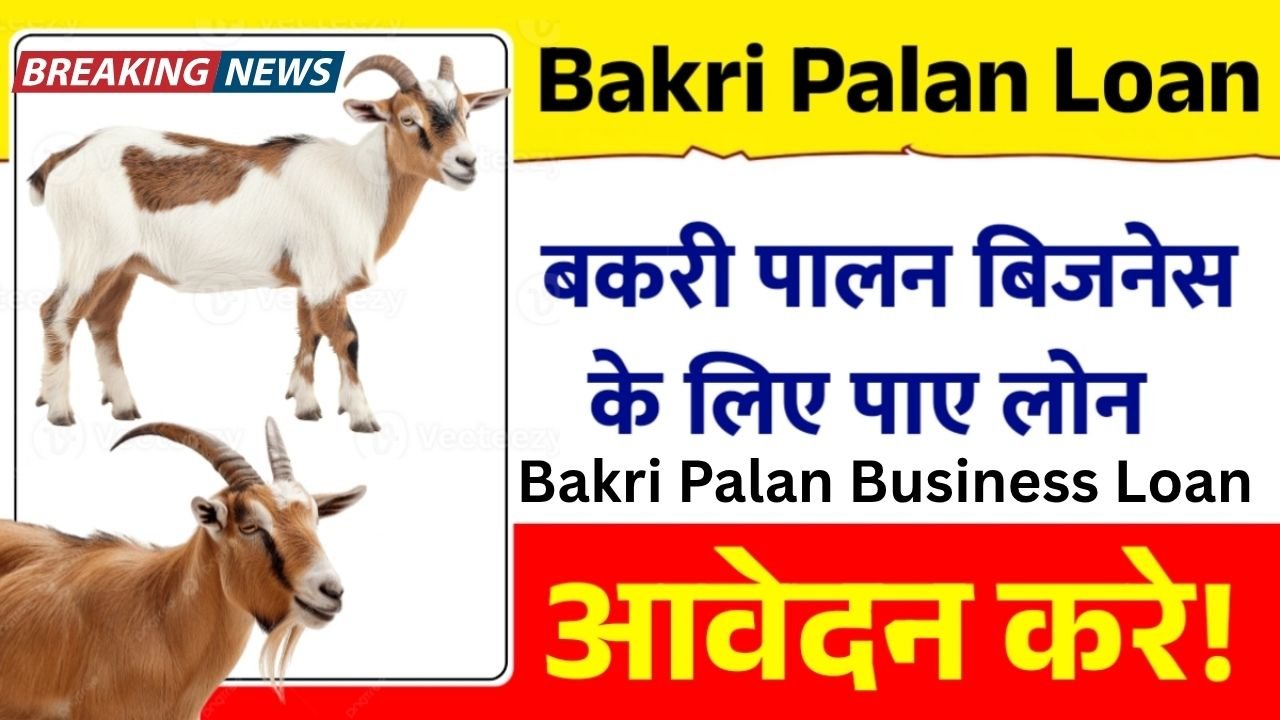 Bakri Palan Business LoanBakri